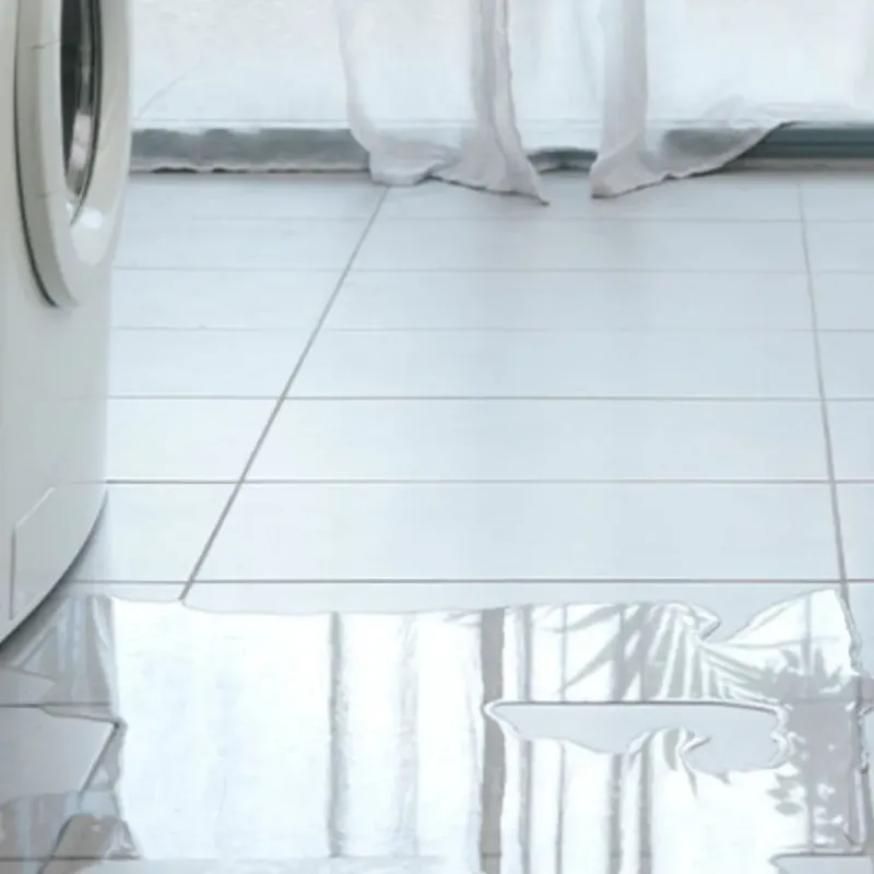 Appliance Leak Cleanup in Pope County, IL