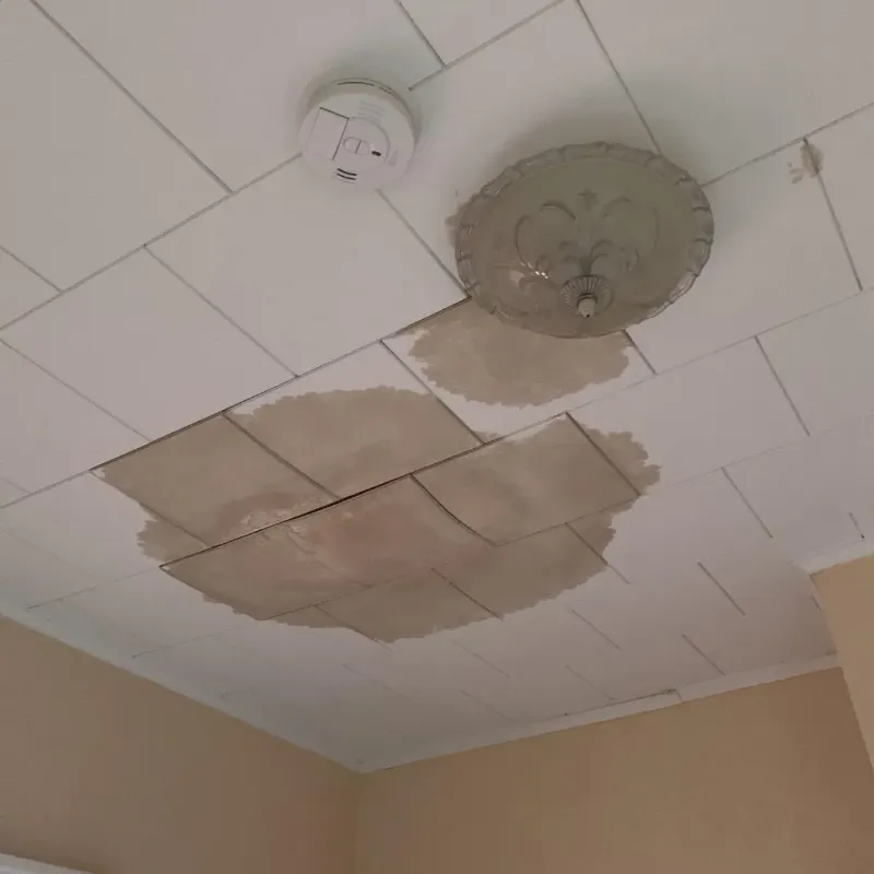 Ceiling Water Damage Repair in Pope County, IL