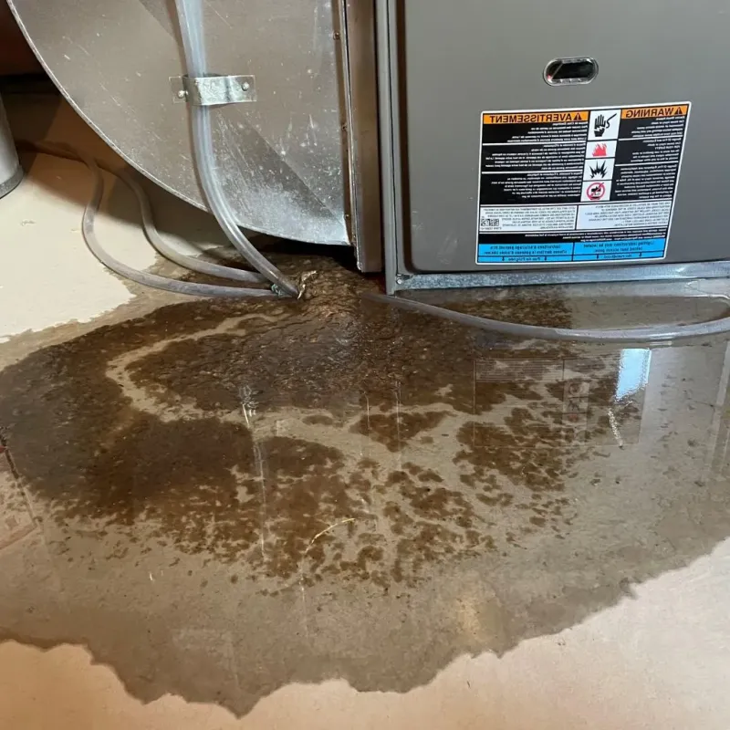 Pipe Burst and Leak Restoration in Pope County, IL