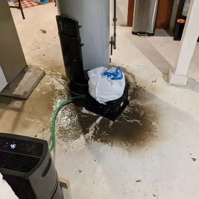 Sewage Backup Cleanup Service in Pope County, IL